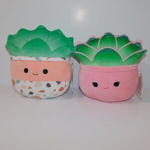 Set 2 Squishmallows Succulent Plants Afiyah & Abena 8" Plush Stuffed NEW w Tags